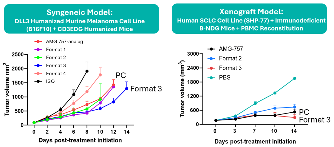 Model Comparison for DLL3×CD3 Bi-specific Antibody (BsAb) Screening_2