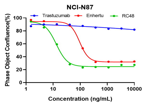In Vitro Testing of Antibody–Drug Conjugates (ADCs)