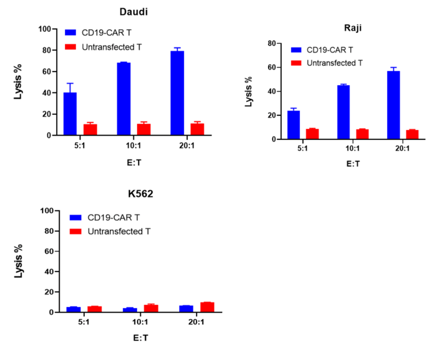 Evaluation of Tumor Cytotoxicity