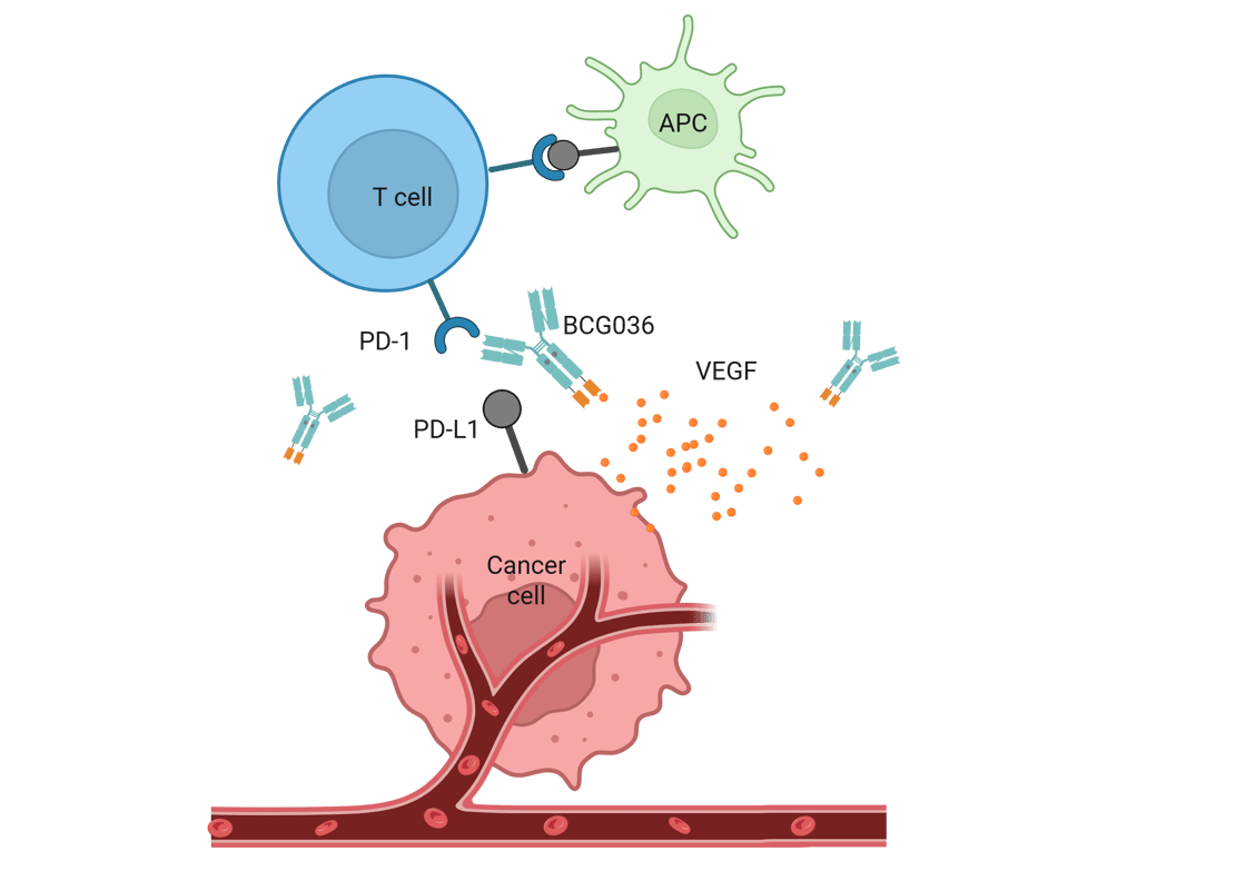 Dual PD-1 and VEGF Blockade: A Synergistic Cancer Therapy Strategy