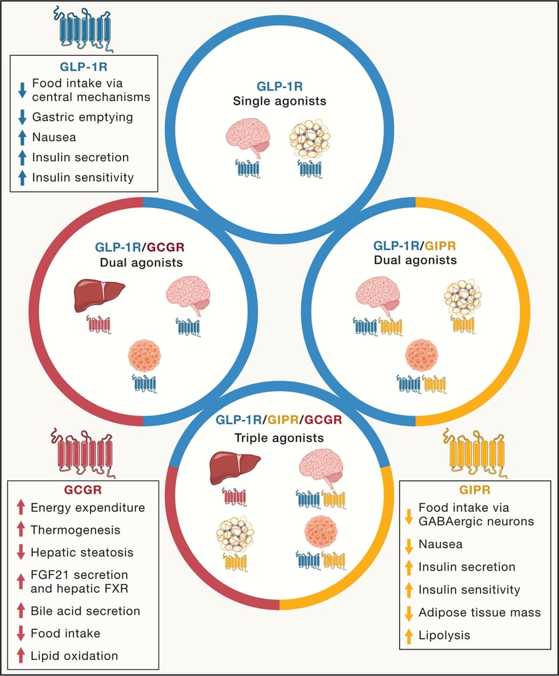 drug interactions with glp 1 TrimRX