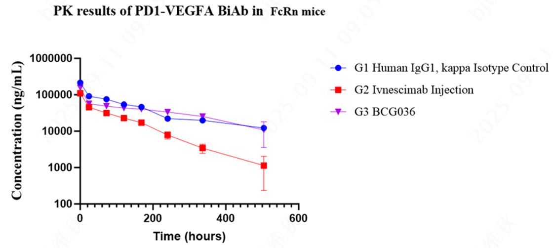 ▷ BCG036 Exhibits Sustained Exposure vs. Rapid Decline with Ivonescimab